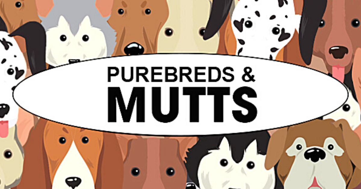 Purebreds and Mutts | Purebreds & Mutts