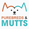 Purebreds & Mutts