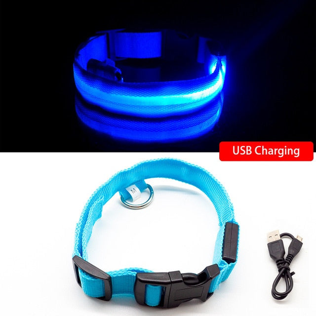 USB Charging Led Dog Collar Anti-Lost/Avoid Car Accident Collar For Dogs Puppies Dog Collars Leads LED Supplies Pet Products